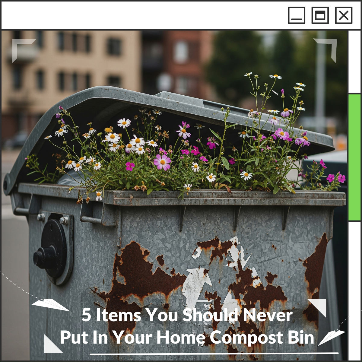5 Items You Should Never Put In Your Home Compost Bin – Ecopify