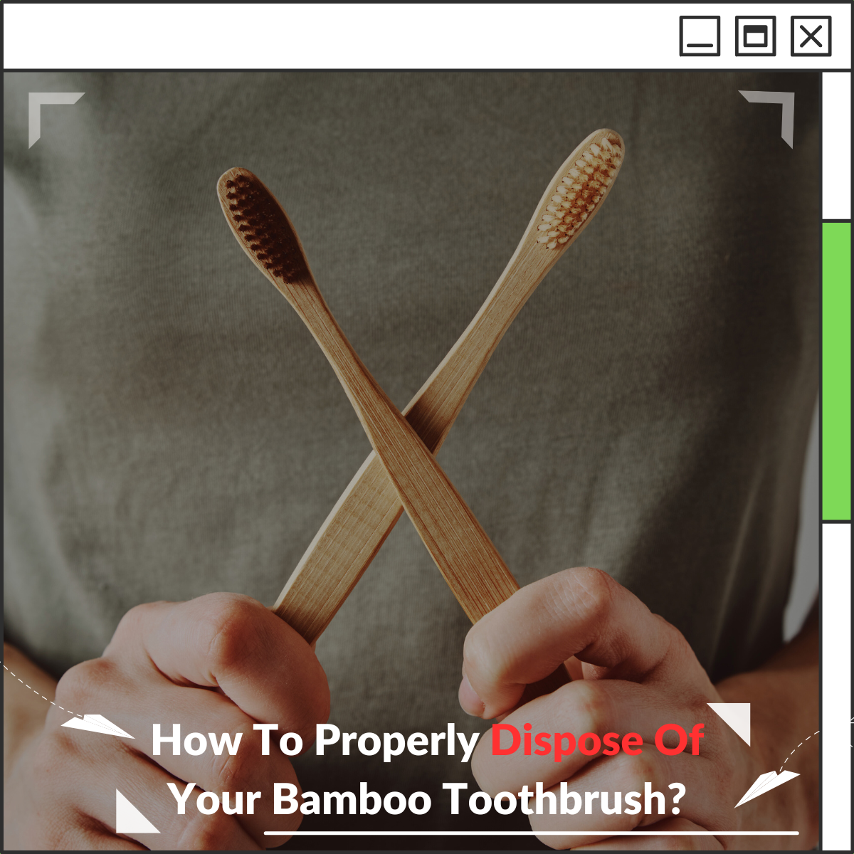 How To Properly Dispose Of Your Bamboo Toothbrush?