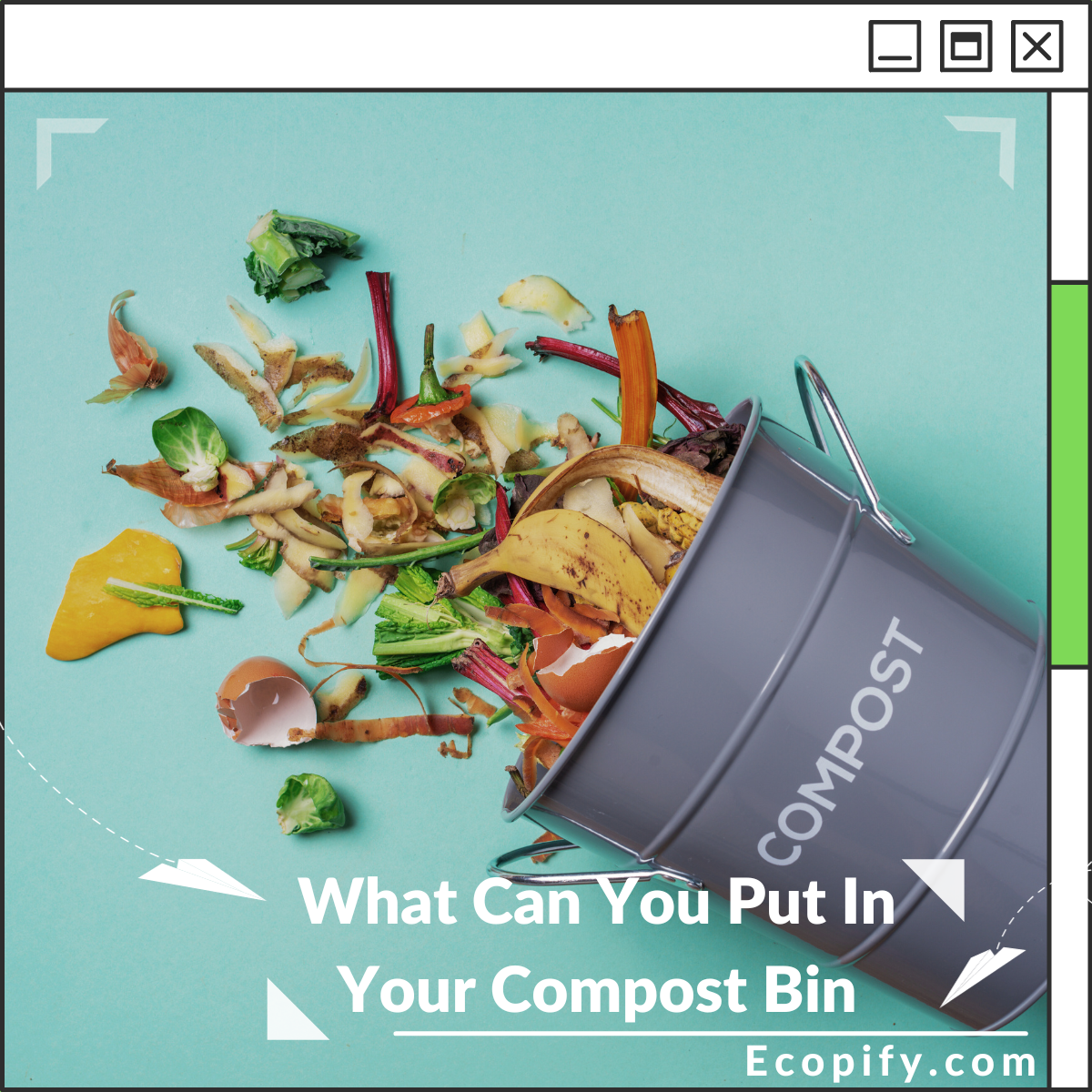 What Can You Put In Your Compost Bin Ecopify