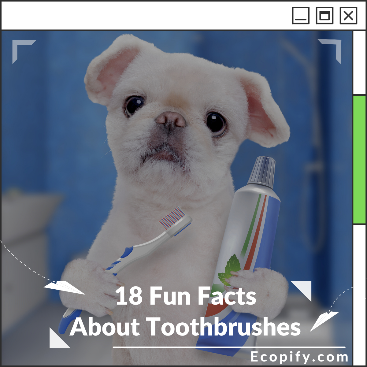 18 Fun Facts About Toothbrushes