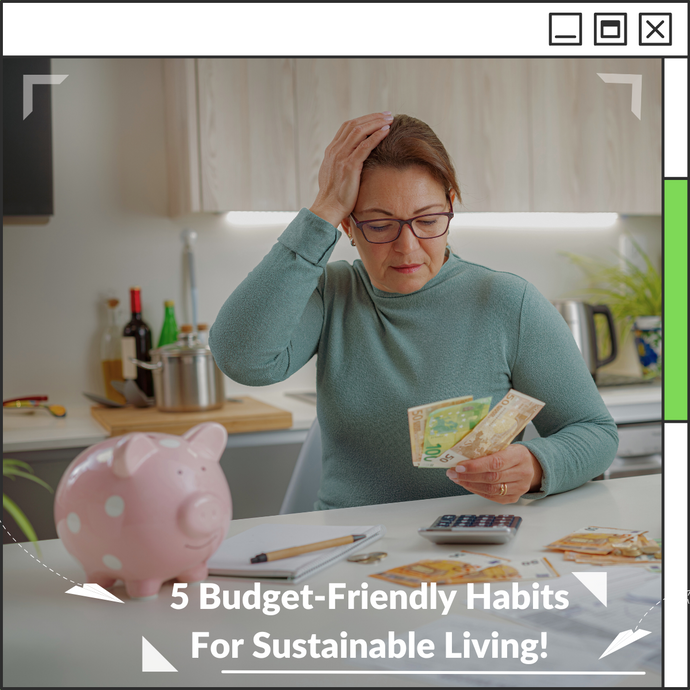 5 Budget-Friendly Habits For Sustainable Living