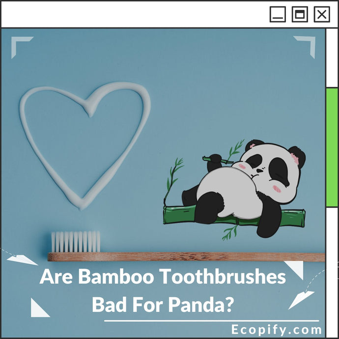 Are Bamboo Toothbrushes Bad For Panda?