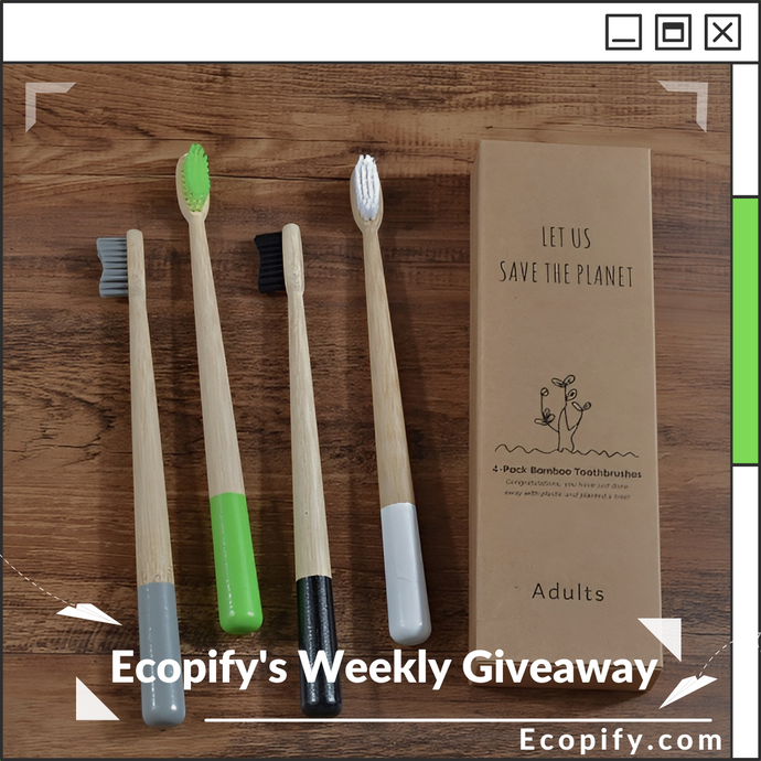 Ecopify's Weekly Giveaway