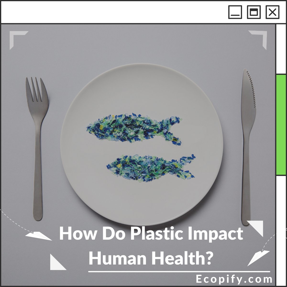 Human Using Plastic How Do Plastic Impact Human Health? | Ecopify