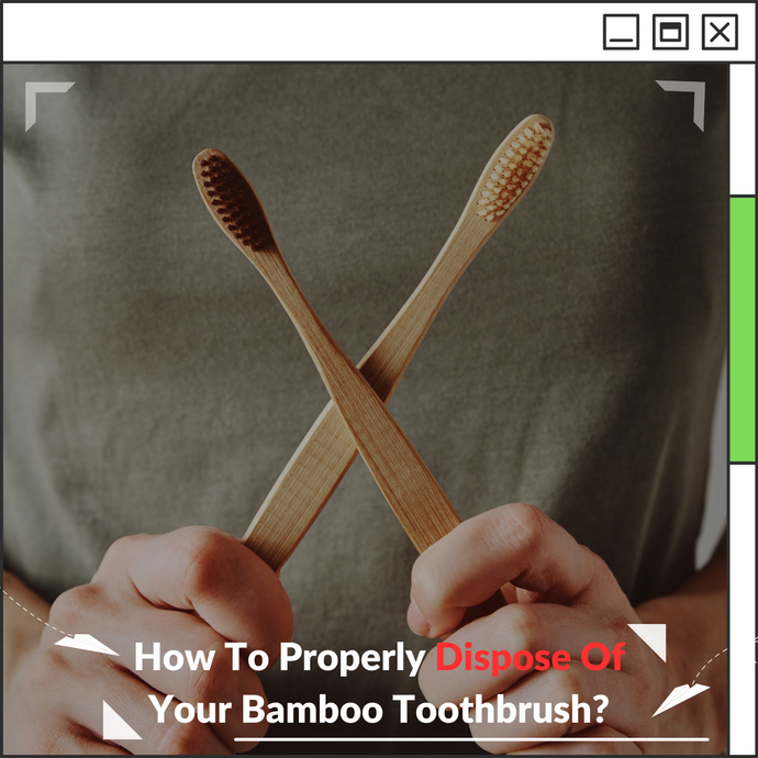 How To Properly Dispose Of Your Bamboo Toothbrush?