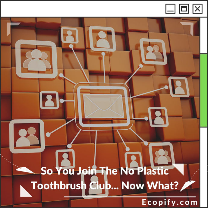 So You Join The No Plastic Toothbrush Club... Now What?