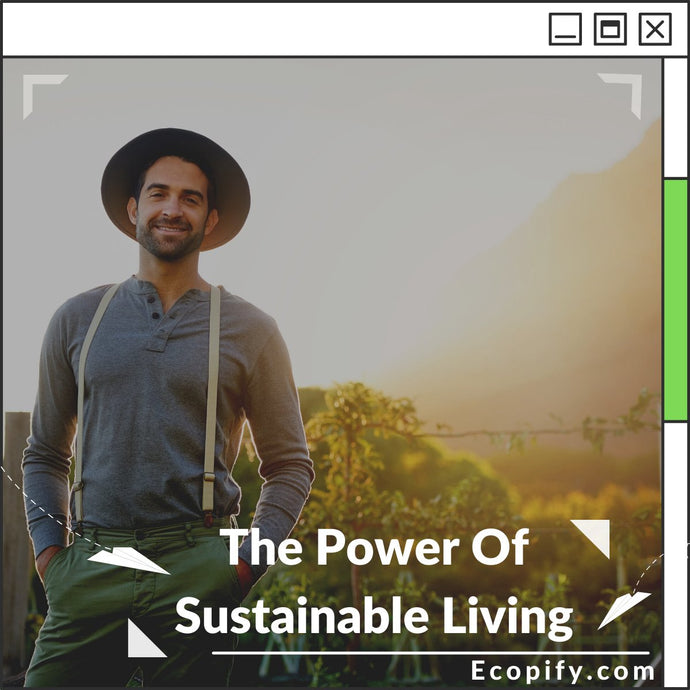 The Power Of Sustainable Living