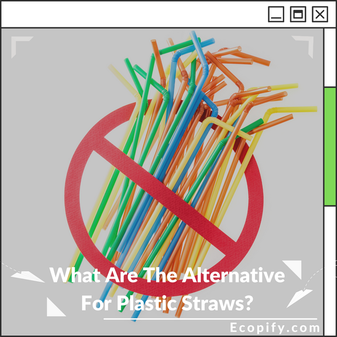 What Are The Alternative For Plastic Straws?