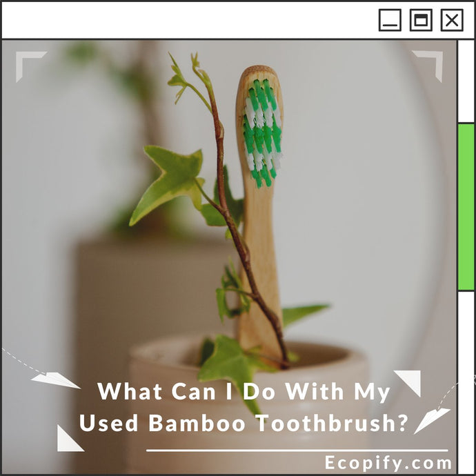 What Can I Do With My Used Bamboo Toothbrush?