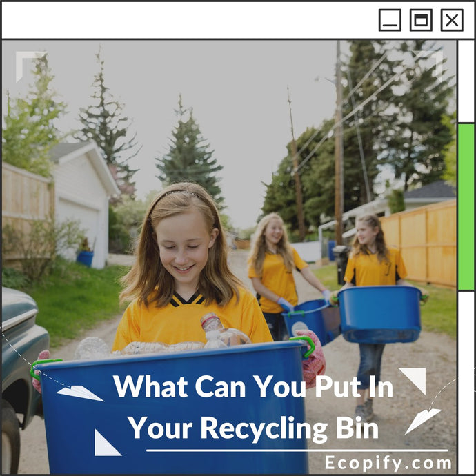 What Can You Put In Your Recycling Bin?