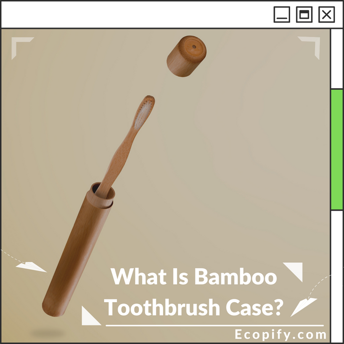 What Is Bamboo Toothbrush Case?