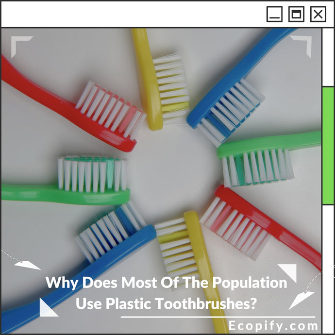 Why Does Most Of The Population Use Plastic Toothbrushes?