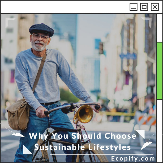 Why You Should Choose Sustainable Lifestyles