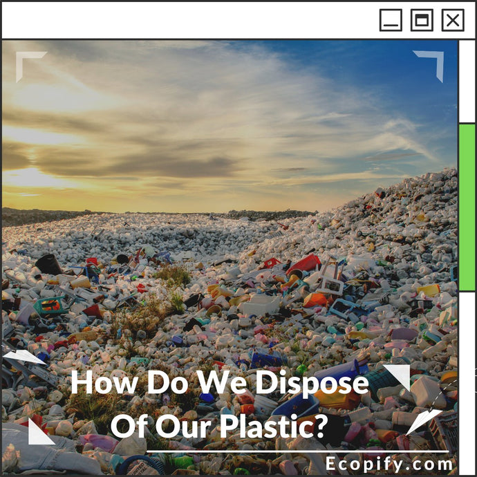 How Do We Dispose Of Our Plastic?