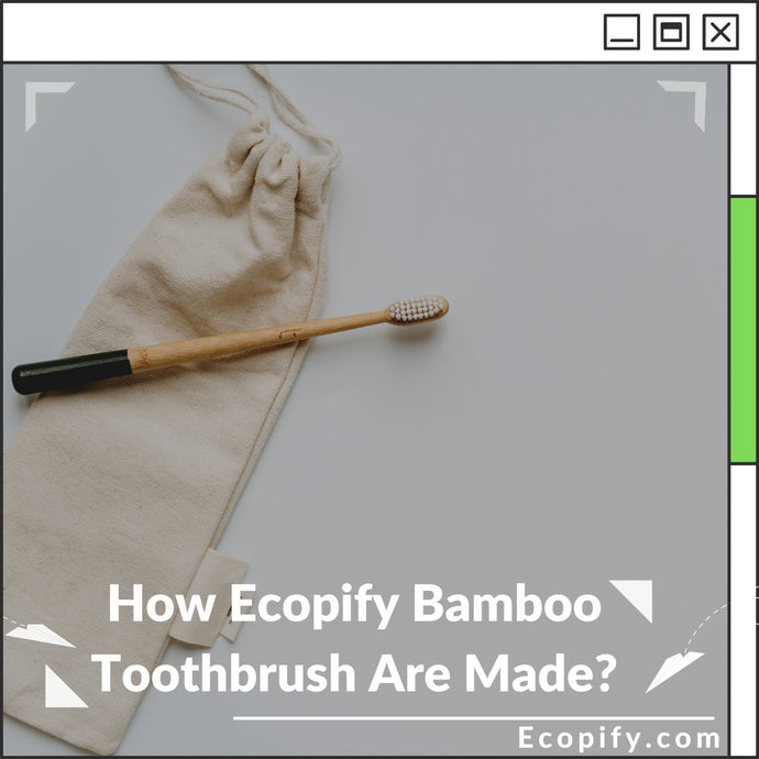 How Ecopify Bamboo Toothbrush Are Made?