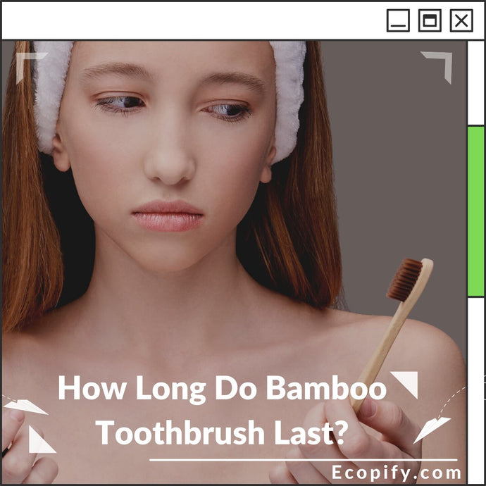 How Long Do Bamboo Toothbrush Last