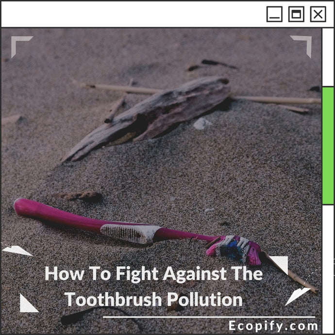 How To Fight Against The Toothbrush Pollution