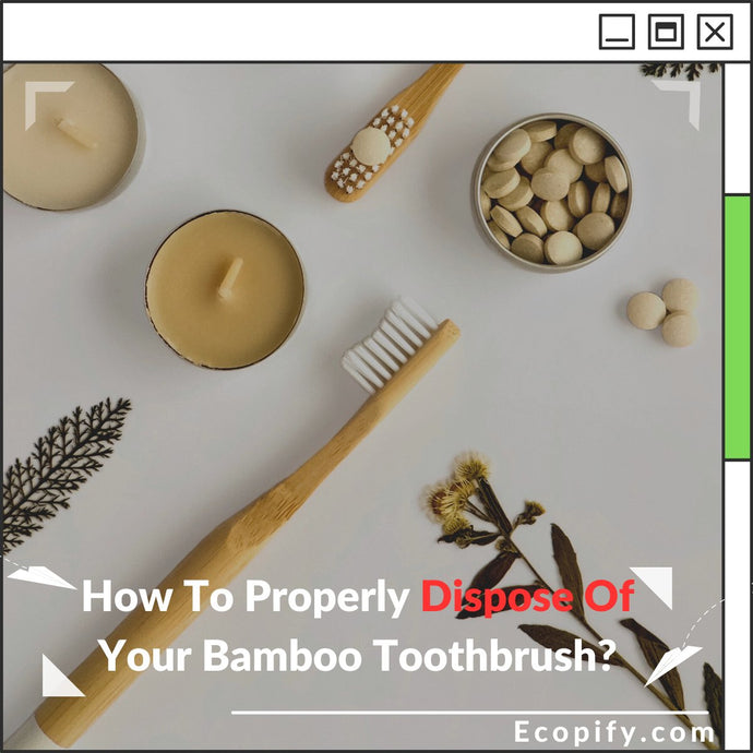 How To Properly Dispose Of Your Bamboo Toothbrush?