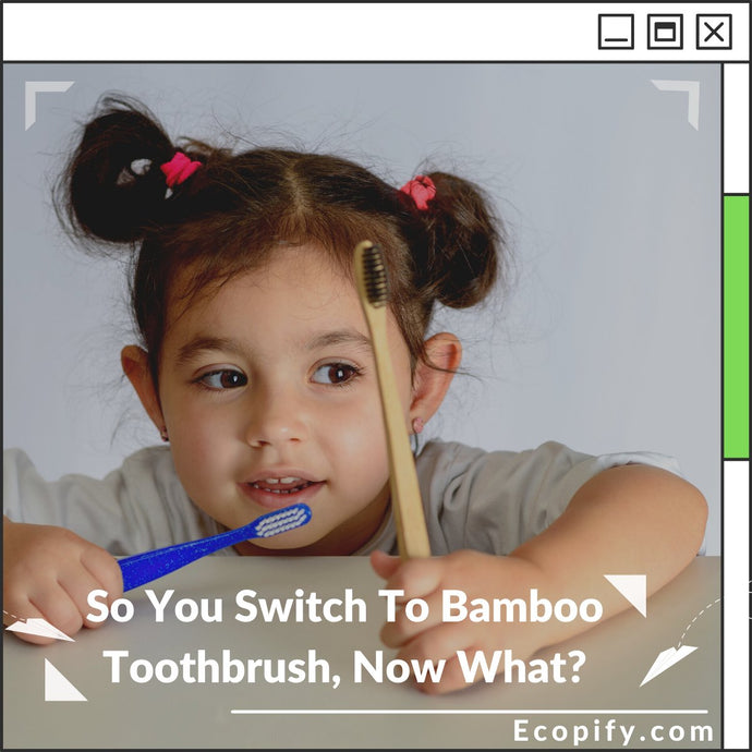 So You Switch To Bamboo Toothbrush, Now What?