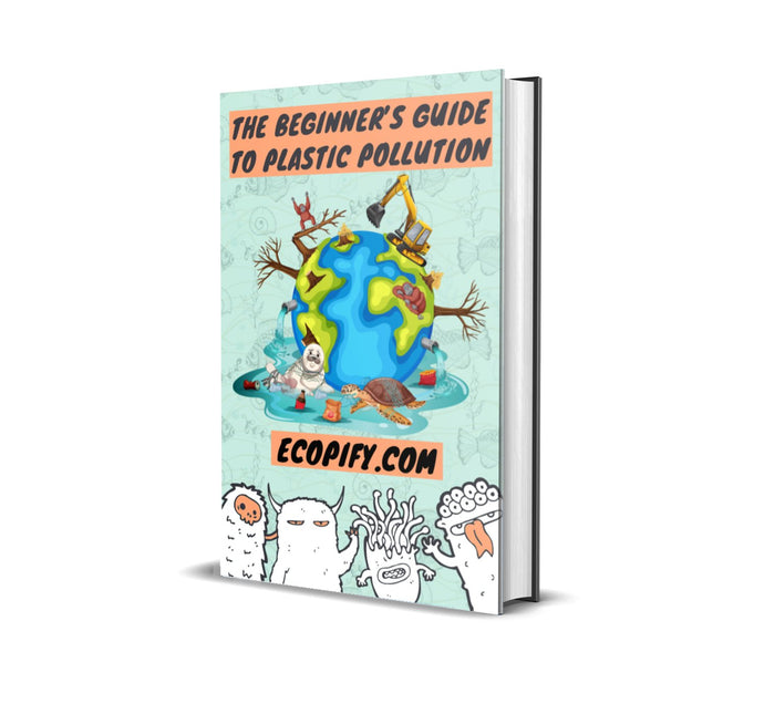 The Beginner’s Guide To Plastic Pollution Ebook