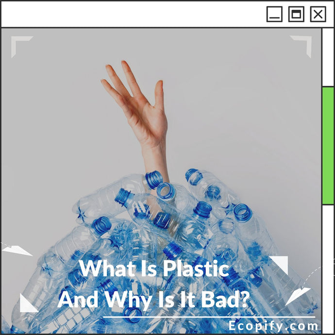 What Is Plastic And Why Is It Bad?