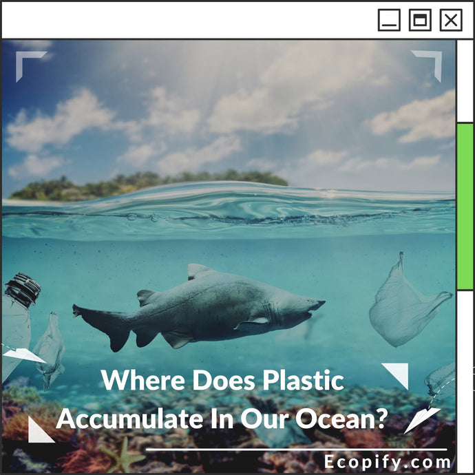 Where Does Plastic Accumulate In Our Ocean?